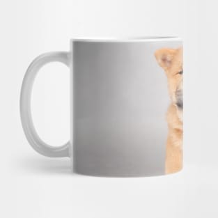 Chow chow  puppy Mug